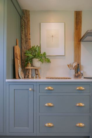 Cozy kitchen corner with soft blue cabinets, brass handles, wooden accents, and lush greenery. A minimalist insect art piece enhances a calming vibe.