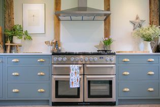 Charming kitchen with a stainless steel stove and hood, flanked by blue cabinets with brass handles. Decor includes potted plants and flowers. Cozy and inviting atmosphere.