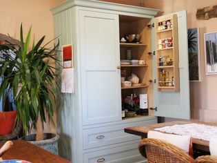 Cozy kitchen scene with a light blue pantry cabinet open, revealing spices and ceramics. A large potted plant stands beside a warm-toned dining table.