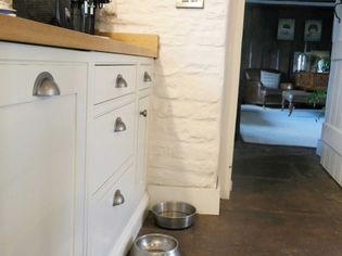Cozy kitchen scene with white cabinets and wooden countertops. Two metal pet bowls sit on the floor. In the background, a living room is visible.