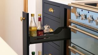 Narrow pull-out kitchen cabinet beside a stove, holding bottles of vinegar and oil. The cabinet and stove have a modern design, conveying functionality.