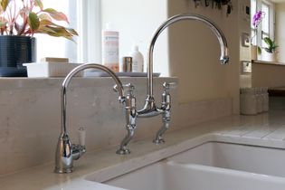 Sleek kitchen sink with polished chrome taps, set on a quartz countertop. There's a potted plant and soap bottles adding a homely touch.
