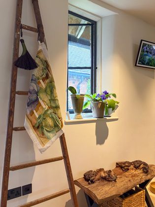 Leaning wooden ladder, hanging plants, a sunlit window with potted plants, framed artwork, and a rustic bench.