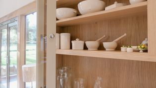 A wooden cabinet shelf displaying various kitchen items, including bowls, containers, and a small decorative item.