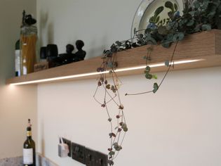 A kitchen shelf displays decorative items, hanging plants, and soft under-shelf lighting. The tone is warm and cozy with subtle elegance.