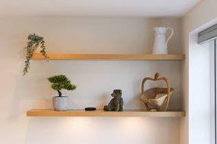 Wall shelves featuring a potted plant, ornamental jug, koala figurine, and decorative wooden apple basket by a window, creating a cozy ambiance.